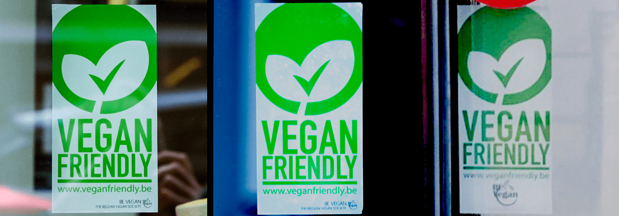 Vegan Friendly sticker