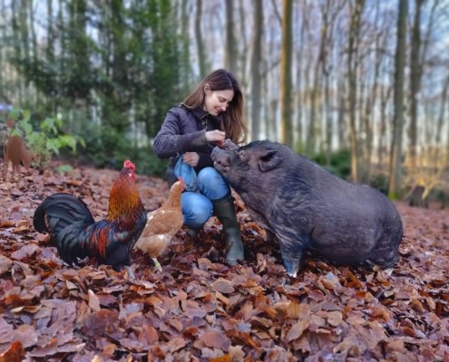 Melanie Jaecques webinar BE Vegan